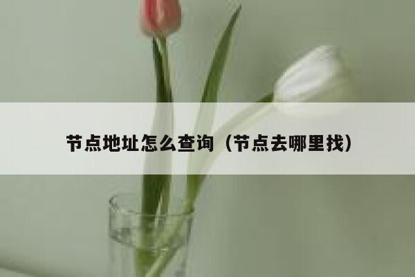 节点地址怎么查询（节点去哪里找） 第1张