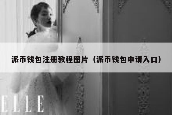 派币钱包注册教程图片（派币钱包申请入口） 第1张