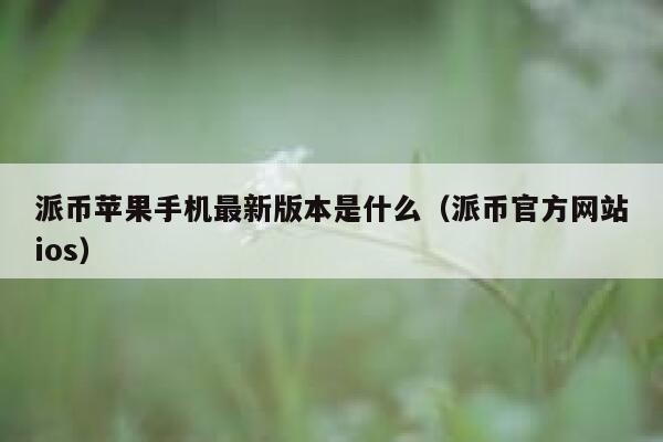 派币苹果手机最新版本是什么（派币官方网站ios） 第1张