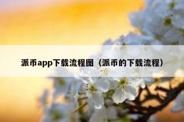 派币app下载流程图（派币的下载流程） 第1张