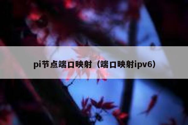 pi节点端口映射（端口映射ipv6） 第1张