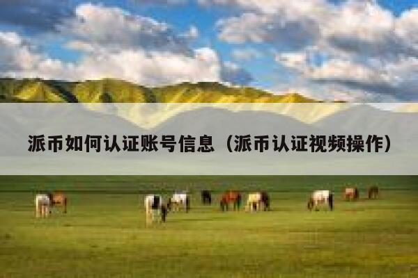 派币如何认证账号信息（派币认证视频操作） 第1张