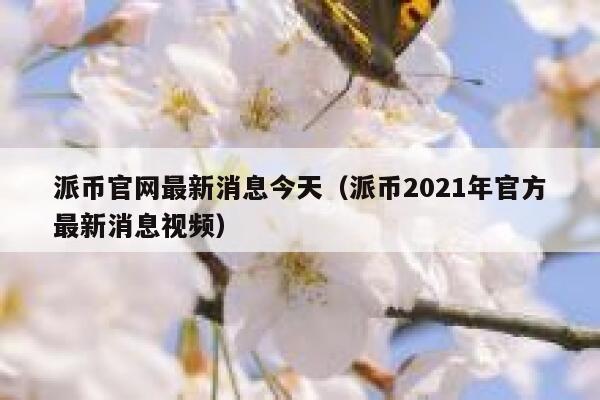 派币官网最新消息今天（派币2021年官方最新消息视频） 第1张
