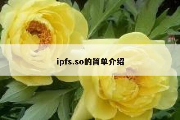 ipfs.so的简单介绍 第1张
