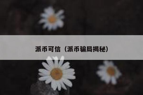 派币可信（派币骗局揭秘） 第1张