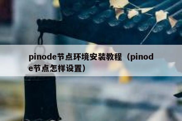 pinode节点环境安装教程（pinode节点怎样设置） 第1张