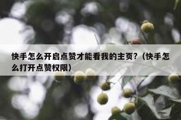 快手怎么开启点赞才能看我的主页?（快手怎么打开点赞权限） 第1张