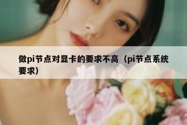 做pi节点对显卡的要求不高（pi节点系统要求） 第1张