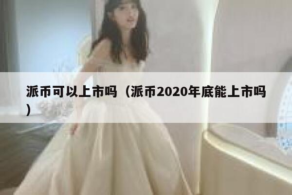 派币可以上市吗（派币2020年底能上市吗） 第1张