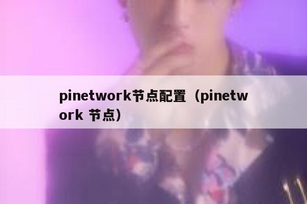 pinetwork节点配置（pinetwork 节点） 第1张