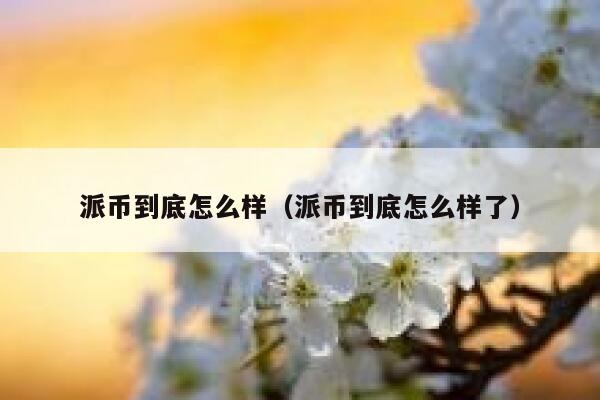 派币到底怎么样（派币到底怎么样了） 第1张