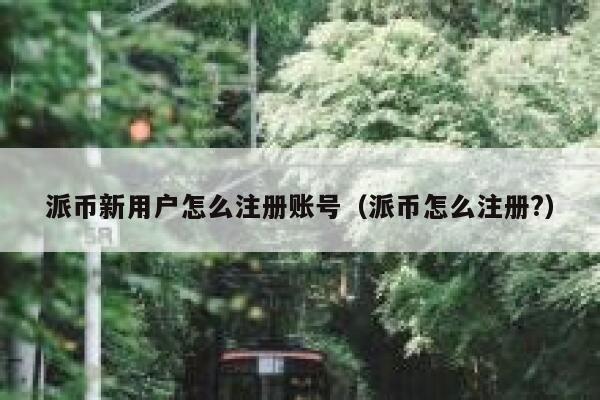 派币新用户怎么注册账号（派币怎么注册?） 第1张