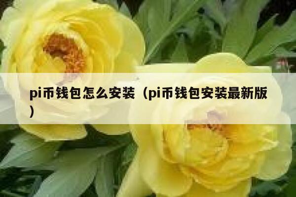 pi币钱包怎么安装（pi币钱包安装最新版） 第1张