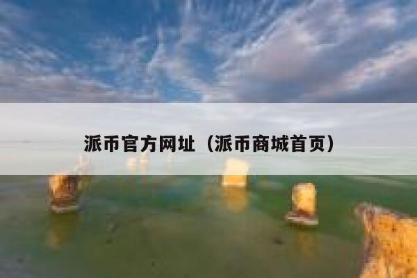 派币官方网址（派币商城首页） 第1张