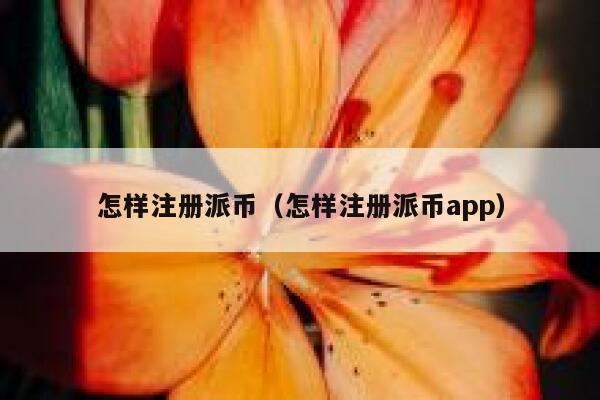 怎样注册派币（怎样注册派币app） 第1张