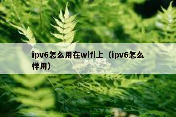 ipv6怎么用在wifi上（ipv6怎么样用） 第1张