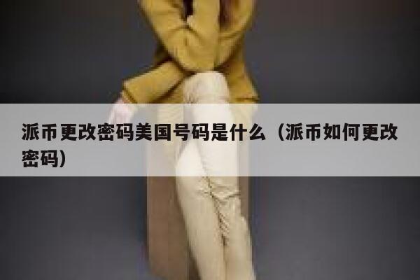 派币更改密码美国号码是什么（派币如何更改密码） 第1张