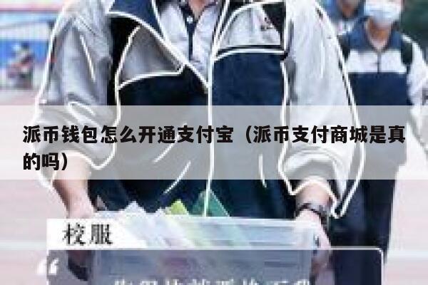 派币钱包怎么开通支付宝（派币支付商城是真的吗） 第1张