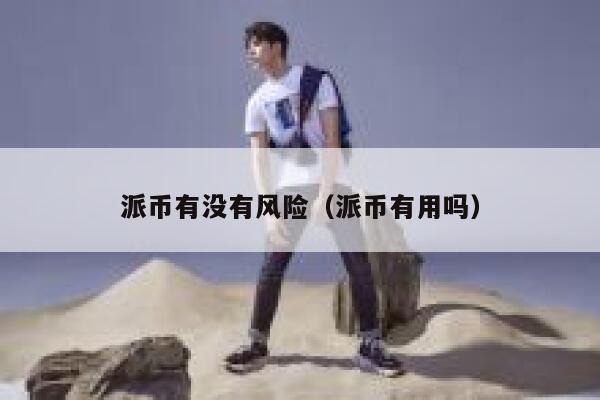 派币有没有风险（派币有用吗） 第1张