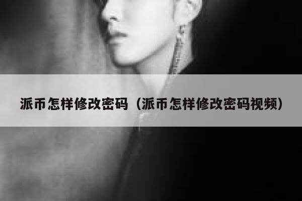 派币怎样修改密码(派币怎样修改密码视频) 第1张 派币怎样修改密码(派币怎样修改密码视频) 第1张
