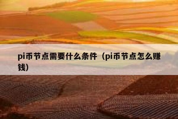 pi币节点需要什么条件（pi币节点怎么赚钱） 第1张