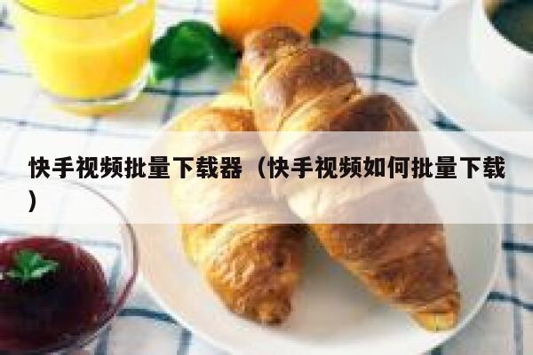 快手视频批量下载器（快手视频如何批量下载） 第1张