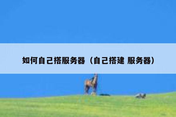 如何自己搭服务器(自己搭建 服务器) 第1张 如何自己搭服务器(自己搭建 服务器) 第1张