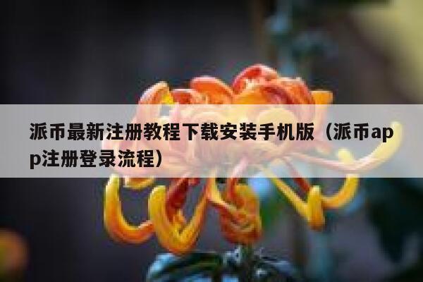 派币最新注册教程下载安装手机版（派币app注册登录流程） 第1张