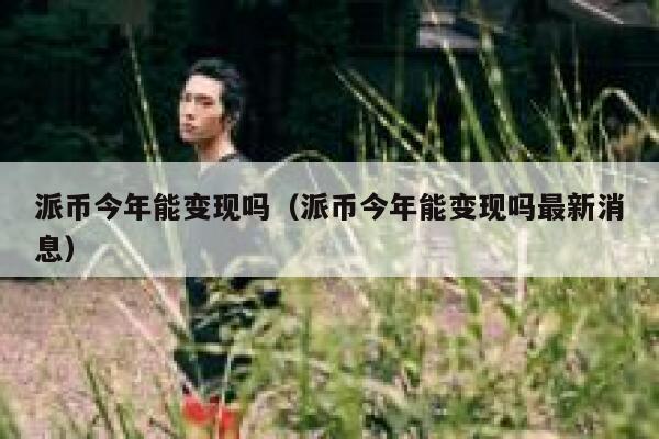 派币今年能变现吗（派币今年能变现吗最新消息） 第1张