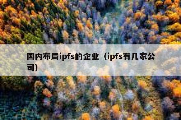 国内布局ipfs的企业(ipfs有几家公司) 第1张 国内布局ipfs的企业(ipfs有几家公司) 第1张