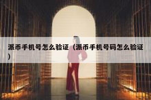 派币手机号怎么验证（派币手机号码怎么验证） 第1张