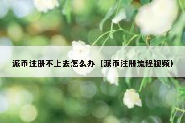 派币注册不上去怎么办(派币注册流程视频) 第1张 派币注册不上去怎么办(派币注册流程视频) 第1张