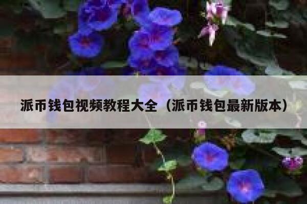 派币钱包视频教程大全（派币钱包最新版本） 第1张