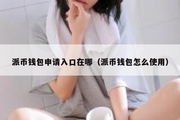 派币钱包申请入口在哪（派币钱包怎么使用） 第1张