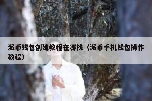 派币钱包创建教程在哪找（派币手机钱包操作教程） 第1张