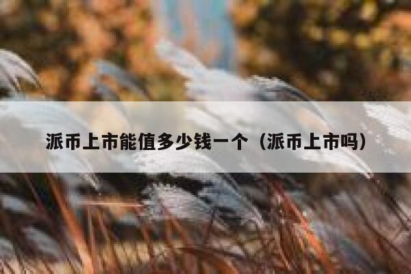 派币上市能值多少钱一个（派币上市吗） 第1张