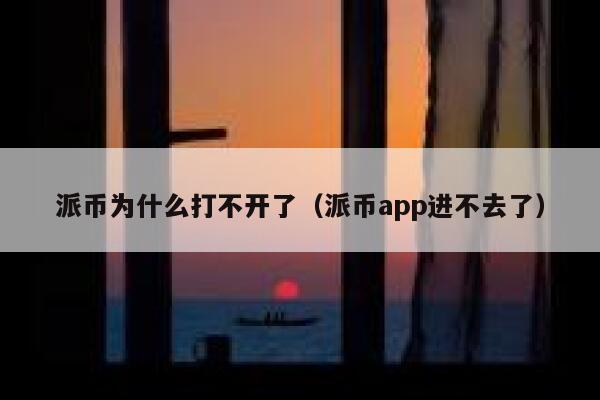 派币为什么打不开了（派币app进不去了） 第1张