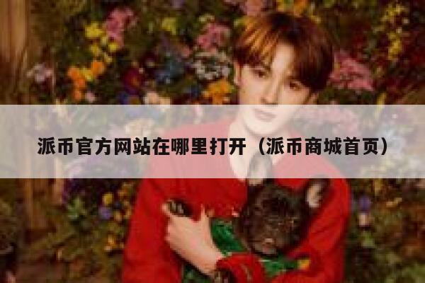 派币官方网站在哪里打开（派币商城首页） 第1张