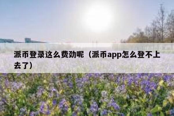 派币登录这么费劲呢（派币app怎么登不上去了） 第1张