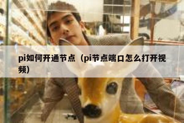 pi如何开通节点（pi节点端口怎么打开视频） 第1张