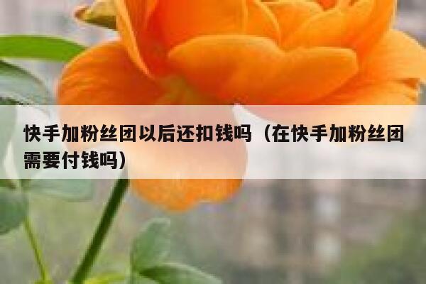快手加粉丝团以后还扣钱吗（在快手加粉丝团需要付钱吗） 第1张