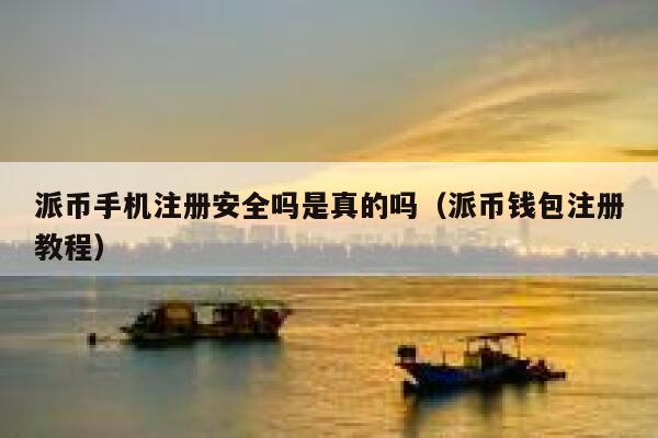 派币手机注册安全吗是真的吗（派币钱包注册教程） 第1张