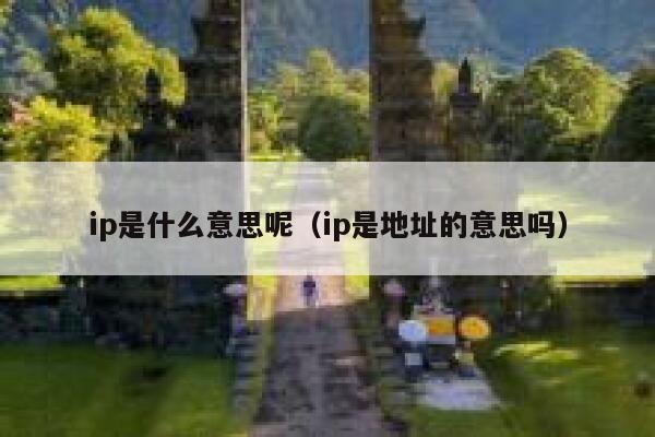 ip是什么意思呢（ip是地址的意思吗） 第1张