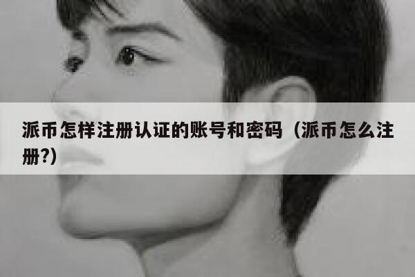 派币怎样注册认证的账号和密码（派币怎么注册?） 第1张