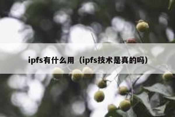 ipfs有什么用（ipfs技术是真的吗） 第1张