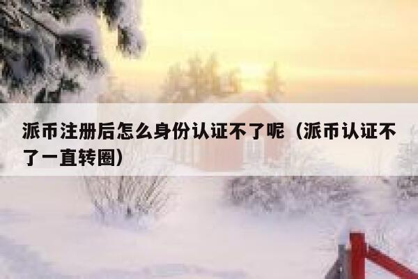 派币注册后怎么身份认证不了呢（派币认证不了一直转圈） 第1张