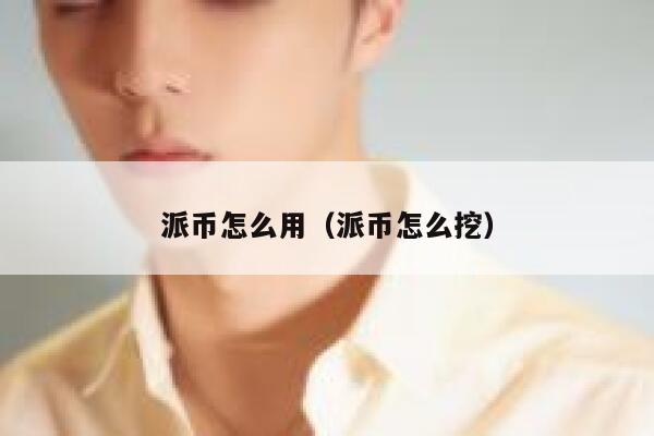 派币怎么用(派币怎么挖) 第1张 派币怎么用(派币怎么挖) 第1张