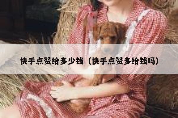 快手点赞给多少钱（快手点赞多给钱吗） 第1张