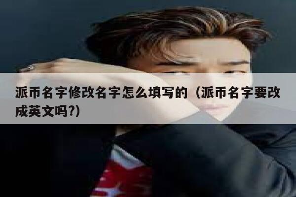 派币名字修改名字怎么填写的（派币名字要改成英文吗?） 第1张