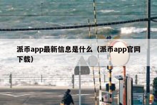 派币app最新信息是什么（派币app官网下载） 第1张